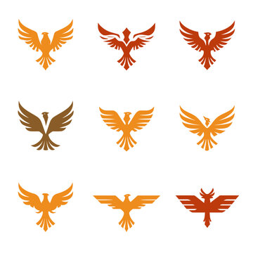 Set of nine stylized bird logos or icons in orange and brown tones, depicting eagles, phoenixes, and falcons, representing power, freedom, and strength.