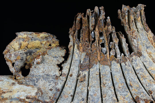 A rusted stovepipe transforms into an abstract underwater world: structured fins shape a delicate coral reef, flanked by a fish-like silhouette made of weathered metal.