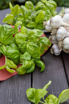 Vertical portrait of fresh organic sweet basil and garlic bunch on a wooden table