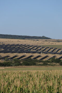 Five layers of one landscape: maize, flowering meadow, solar panels, grazing cattle and forest stacked in a vertical Romanian countryside scene.