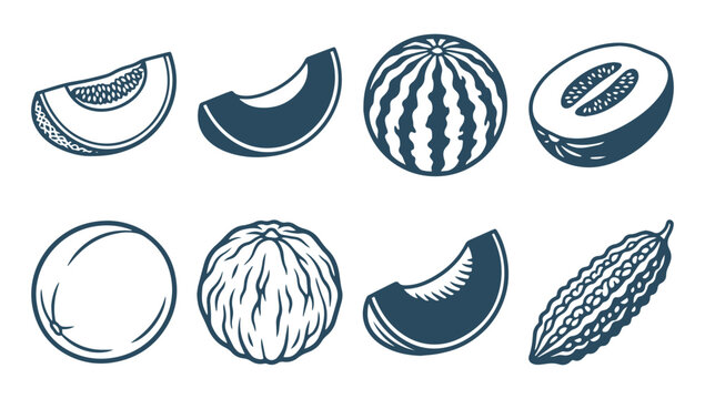 Collection of hand drawn melon and tropical fruit icons in flat vector style