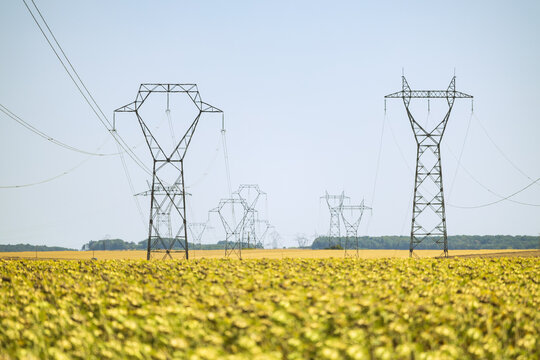 Paysage agricole de Bourgogne avec un vaste champ cultiv&eacute; travers&eacute; par une ligne de pyl&ocirc;nes &eacute;lectriques &agrave; haute tension, sous un ciel d&eacute;gag&eacute;.