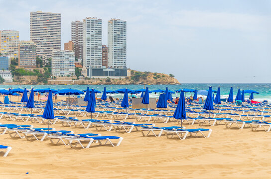 Levante sandy beach with chaise lounge and umbrellas, Playa Platja De Llevant in Benidorm city centre, skyscrapers, hotel buildings on Costa Blanca coast Mediterranean Sea in summer day, Spain