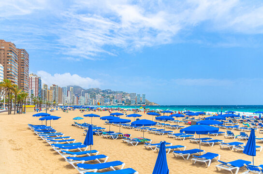 Levante sandy beach with chaise lounge and umbrellas, Playa Platja De Llevant in Benidorm city centre with hotel buildings on Costa Blanca coast Mediterranean Sea in summer day, Spain