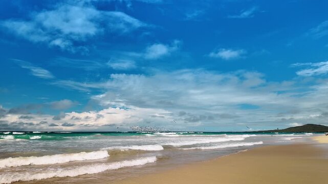 Ocean waves rolling onto sandy beach on Isabela Island. Flock of birds flying over ocean foam, blue sky with clouds, sand shoreline in foreground.