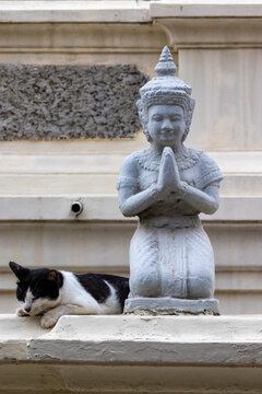 chat endormi &agrave; cot&eacute; d'une statue au palais royal de phnom penh