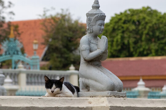 chat endormi &agrave; cot&eacute; d'une statue au palais royal de phnom penh
