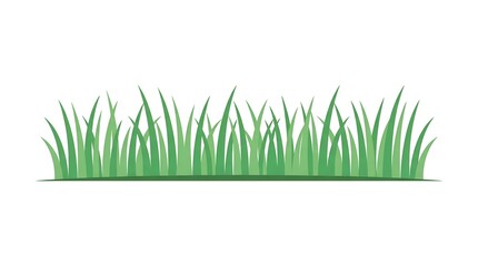 Obraz premium Isolated green grass border on a white background