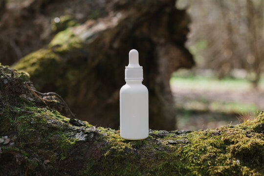 A dark and light glass serum bottle with a dropper, tree bark wood, moss. forest on a sunny day nature background. Concept of skin care, hydration, cosmetic demonstration eco-friendly product mock up