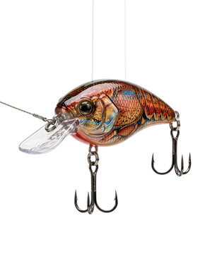 Crankbait