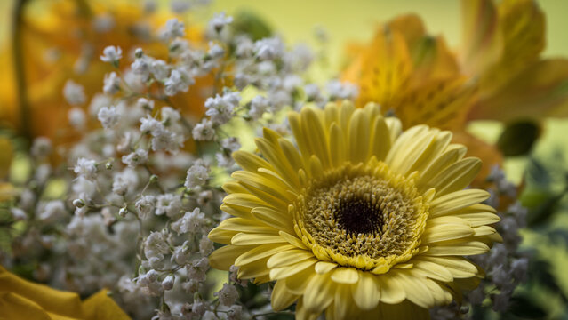 Yellow Bouquet with Gerbera Daisy, Lilies and Baby&rsquo;s Breath. Get Well Soon, Happy Birthday, or thank-you card bokeh background