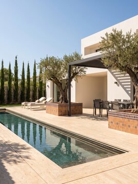 Luxury modern outdoor patio with a long swimming pool sun loungers and large olive trees in planters