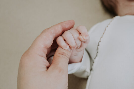 Softly cupped infant fingers within caring parent palms. Delicate baby hand cradled tenderly by experienced adult hands in soft lighting. Gentle parental contact creates safe haven.