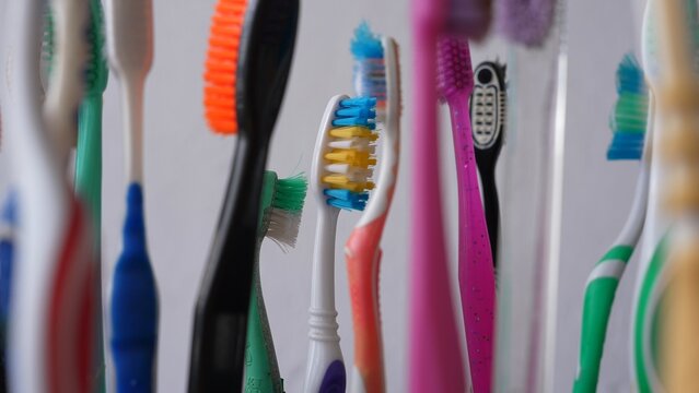 The Problem With Plastic Toothbrush