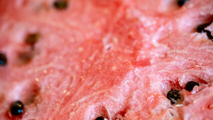 macro close-up of a pink watermelon with seeds. black diamond heirloom background with copy space © mailcaroline