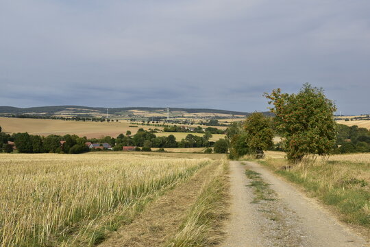 Landschaft und Ausblick in der Abendsonne bei Einbeck