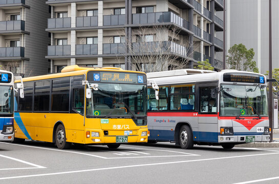 鹿児島市営バスと南国交通バス（鹿児島県鹿児島市）
