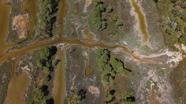 Aerial view of the wetlands and pine forests of Divjake-Karavasta National Park with winding water channels and marshy terrain in Divjake, Fier County, Albania.
