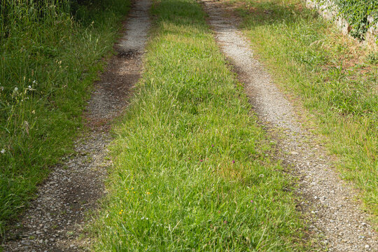 Le passage d'un chemin avec du sable, des gravier et de l'herbe. La trace des pneus de voiture est visible.
