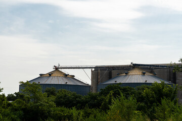 Wide view of large industrial grain silos connected by conveyors peeking above green trees under a cloudy sky © David