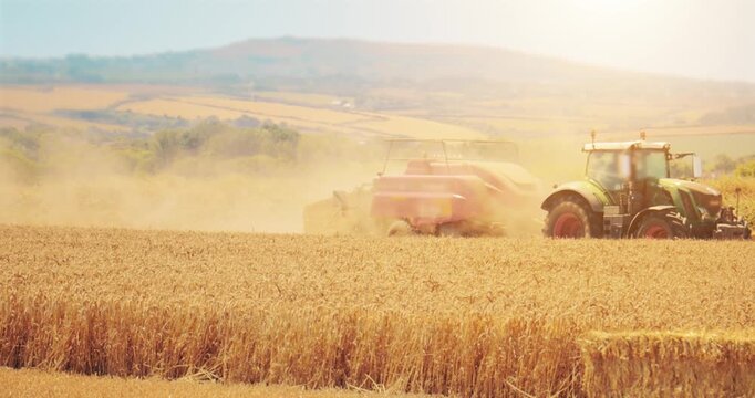 Farm tractor and baler in food crop field. Agricultural bale harvest machine trailer.