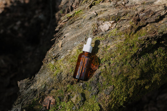 A dark and light glass serum bottle with a dropper, tree bark wood, moss. forest on a sunny day nature background. Concept of skin care, hydration, cosmetic demonstration eco-friendly product mock up