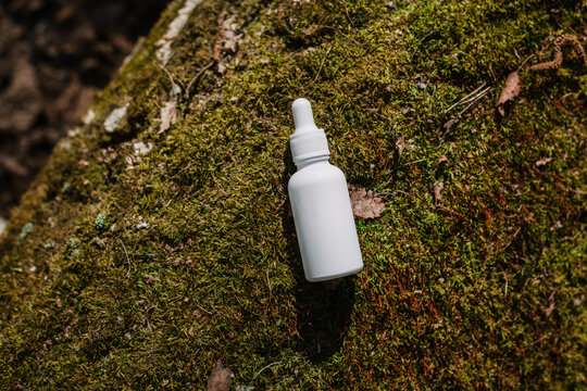 A dark and light glass serum bottle with a dropper, tree bark wood, moss. forest on a sunny day nature background. Concept of skin care, hydration, cosmetic demonstration eco-friendly product mock up