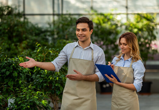 Greenhouse Workers Inspecting Plants.