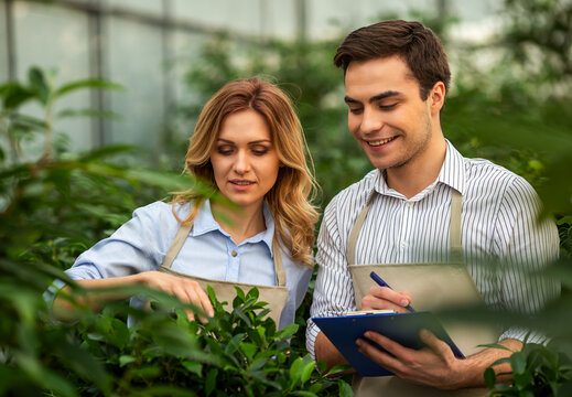 Greenhouse Gardeners Inspecting Plants.