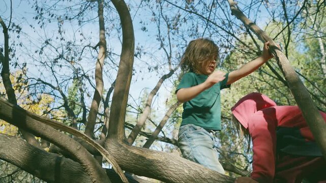 Young boy standing on a fallen tree from low angle with sibling climbing behind in autumn
