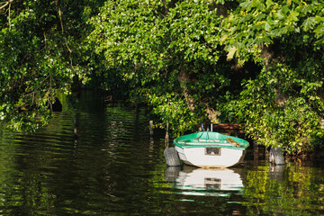 Small white and green boat moored on a calm river under lush green trees hanging over the water on a sunny day. © Dmytro