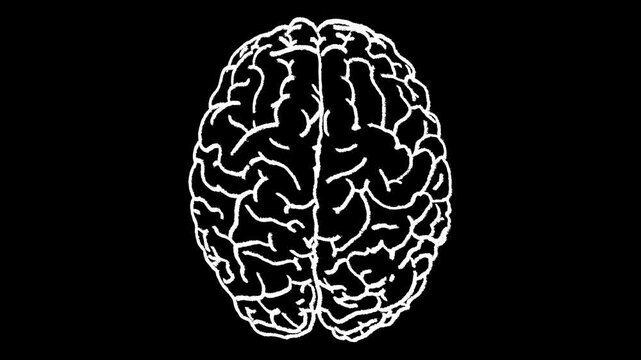 Hand-drawn white chalk human brain overhead drawing on alpha