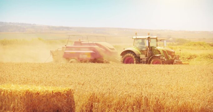 Farm tractor and baler in food crop field. Agricultural bale harvest machine trailer.