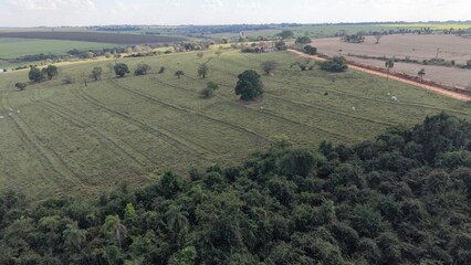Naklejka premium Aerial view of a vast green pasture with scattered trees and white cattle grazing under a cloudy sky