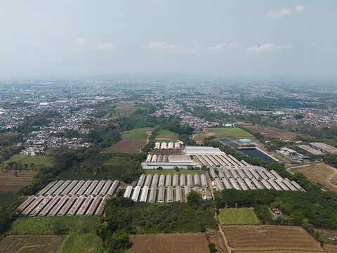 Aerial view of modern closed-house chicken farm buildings with rows of long poultry sheds surrounded by agricultural fields and distant urban sprawl in Malang, East Java, Indonesia.