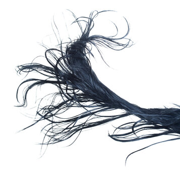 Long straight Wig hair style fly wind blow explosion. Black woman wig wave hair float in mid air. Straight black curl wig hair wind blow cloud throw. White background isolated