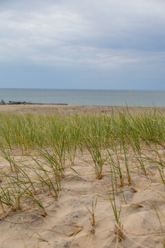 Grassy dunes on the southern shore of Lake Superior