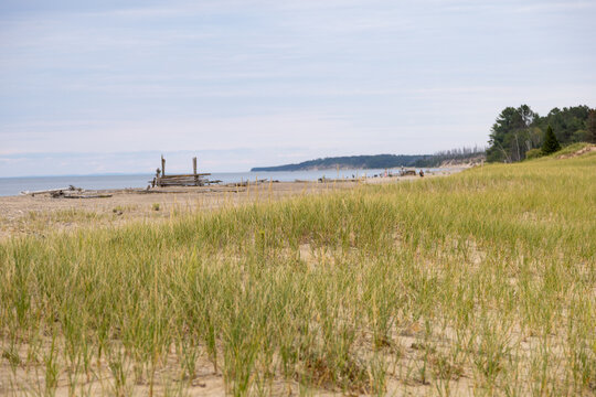 Grassy beach on the southern shore of Lake Superior
