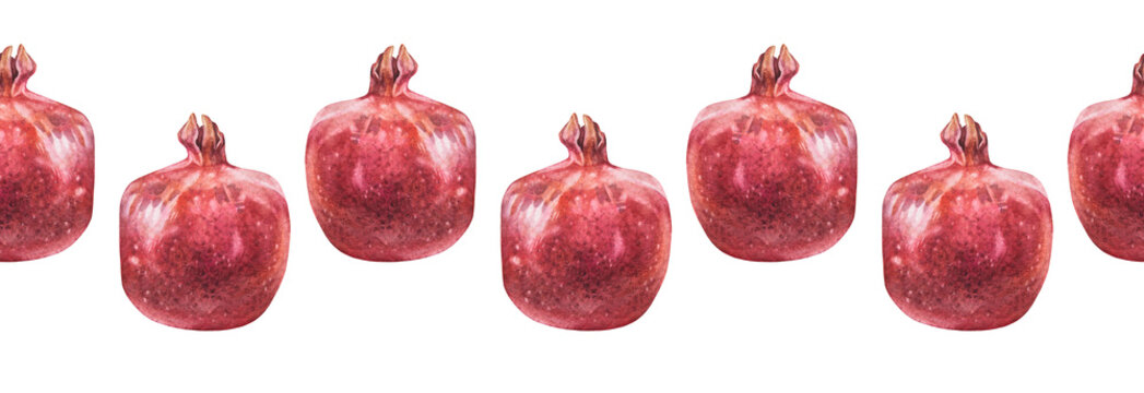 Watercolor seamless border with red garnet on white background. Hand-drawn pomegranate for kitchen. Sweet food for dessert menu. Summer autumn fruit. Textile or card. Rim for wallpaper or wrapping