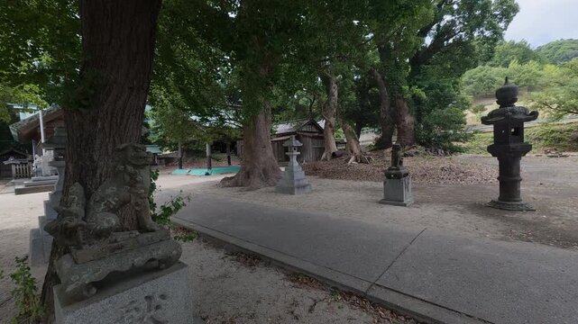 Cinematic Shinto Shrine Pathway with Komainu Statue Fukuoka 4K