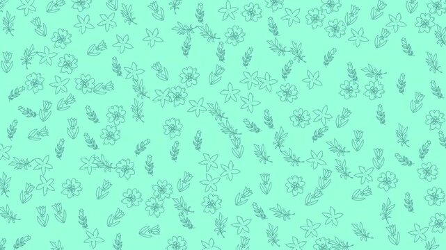 Delicate animated floral and leaf outline pattern on a soft mint green background loop