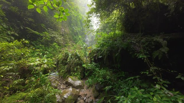 FPV flight through lush Costa Rica rainforest gorge where father with son stand on rock watching tall misty waterfall above turquoise river surrounded by ferns and tropical green foliage.