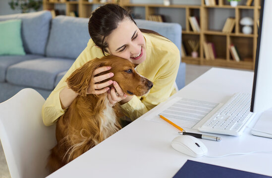 Woman hugs dog at home office computer. She hugs her spaniel at the desk, smiling while checking paperwork and spreadsheets near the monitor. Supportive pet improves productive remote workflow.