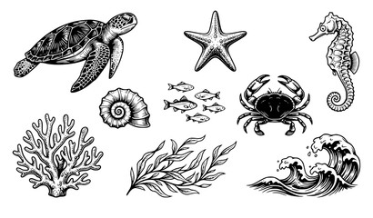 Obraz premium Sea Turtle Coastal Wildlife Black Vector Collection with Seashell, Starfish, Seahorse, Fish, Crab, Coral, Seaweed and Waves