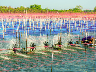 Aquaculture floating fish cage farming system in open water reservoir during sunny day. © Phisit