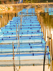 Aquaculture floating fish cage farming system in open water reservoir during sunny day. © Phisit