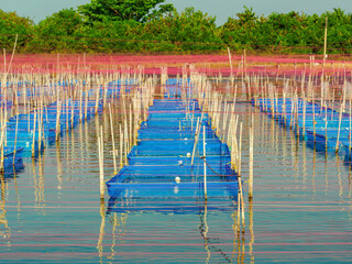Aquaculture floating fish cage farming system in open water reservoir during sunny day. © Phisit
