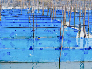 Aquaculture floating fish cage farming system in open water reservoir during sunny day. © Phisit