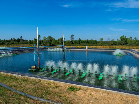 Modern aquaculture shrimp farm pond lined with HDPE liner and oxygen aerator equipment.