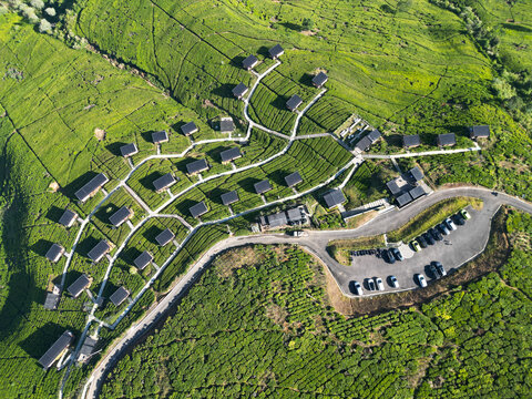 Aerial View of Cabin Resort in Green Tea Plantation Hills